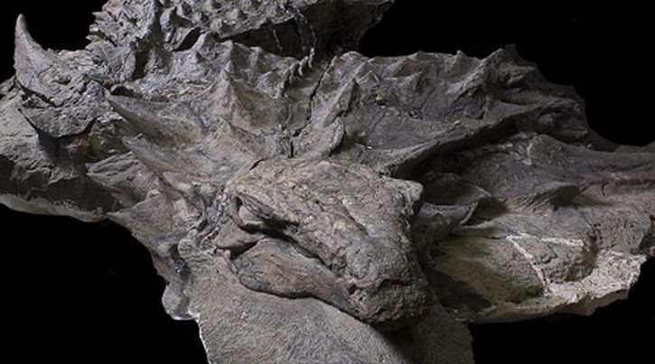 Resultado de imagen para nodosaurio tyrrell momia