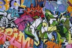 Graffiti en Harlem (11)