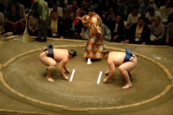 pela sumo japon (22)