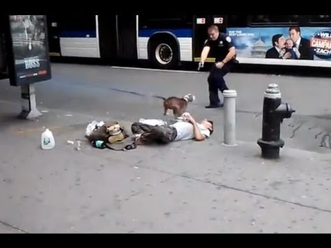 Policia dispara a perro en Nueva York