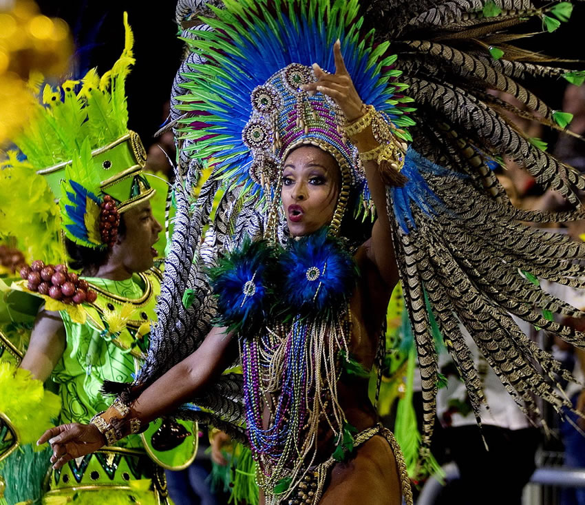 Carnaval de Rio 2013 fotos (29)