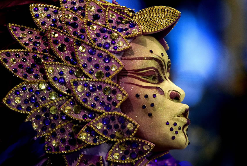 Carnaval de Rio 2013 fotos (33)
