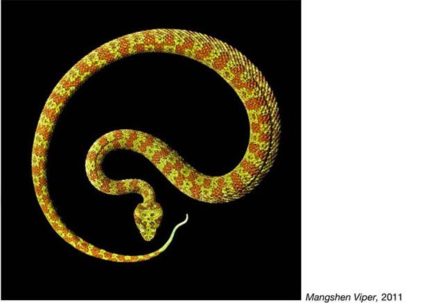 fotos serpientes - Serpentine Mark Laita (14)