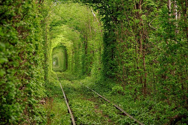 Túnel del Amor, Ucrania
