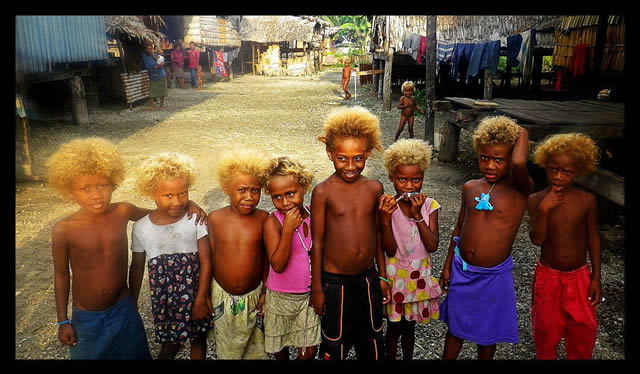 Rubios Negros Islas Salomon (1)