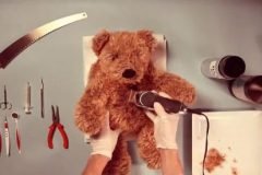 teddy operación
