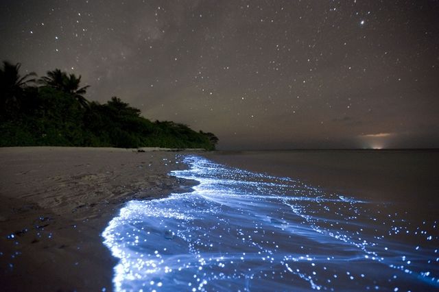 Playa brillante en Islas Maldivas