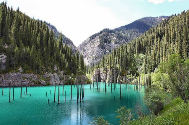  Lago Kaindy, Kazajstán