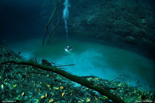 Cenote Angelita rio subterraneo (6)