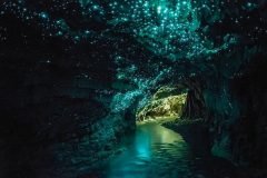 Glowworm Caves Nueva Zelanda (1)