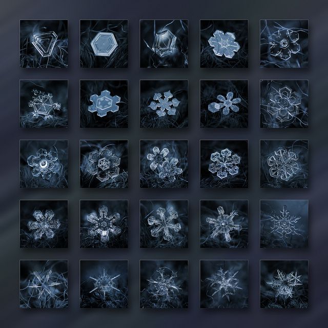 Fotografías de copos de nieve (12)