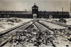 Auschwitz, el símbolo más horrendo de la historia moderna