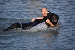 El superhéroe del día: hombre salvó a oso de morir ahogado