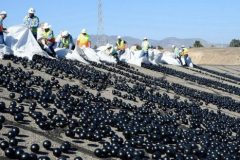 Las esferas plásticas negras que prevendrán la sequía en California + VIDEOS