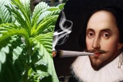 Shakespeare y la marihuana