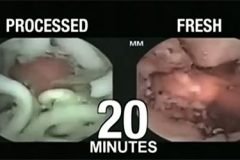 Las sopas instantáneas no se digieren en el estómago (VIDEO)