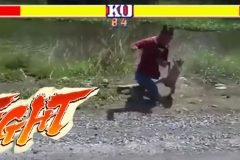 Video: rara pelea entre motociclista y mono