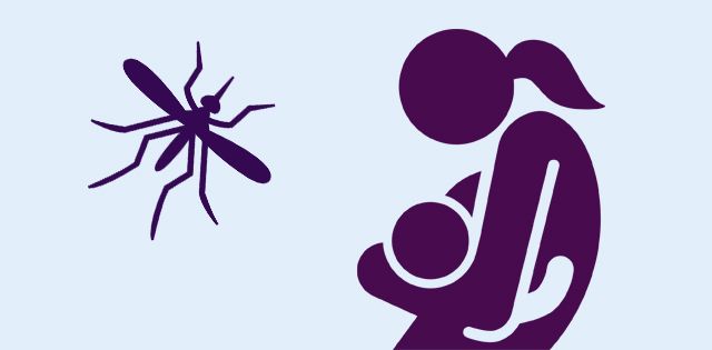 mujeres embarazada mosquito zika
