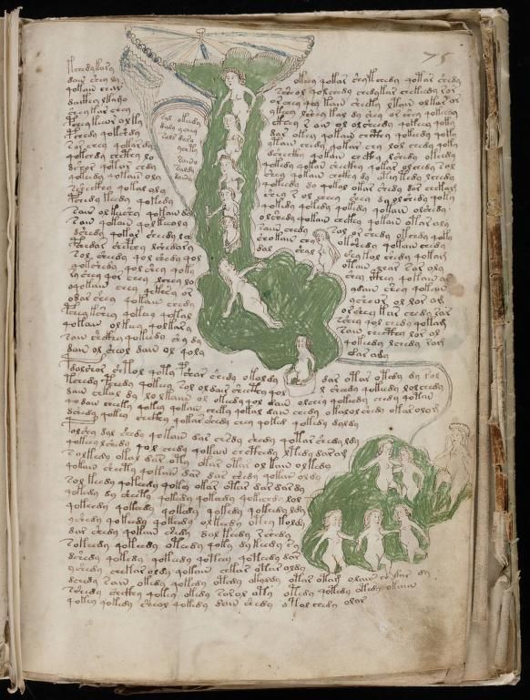 paginas del Manuscrito Voynich (10)