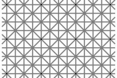 La ilusión de Ninio: ¿puedes ver los 12 puntos?