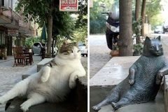 El gato más flojo de Internet ya tiene una estatua en su memoria