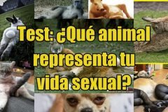 Test: ¿Qué animal representa tu vida sexual?