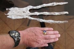 Misteriosa mano de tres dedos en Perú