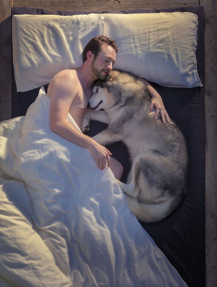 perro y su dueño abrazados en la cama