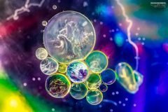 burbujas de multiversos