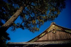 castillo nijo en kioto
