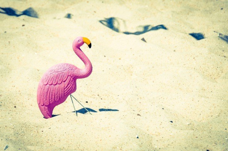 flamingo rosa plastico arena