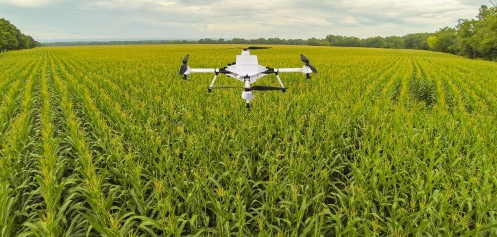 Drones Plantando Arboles