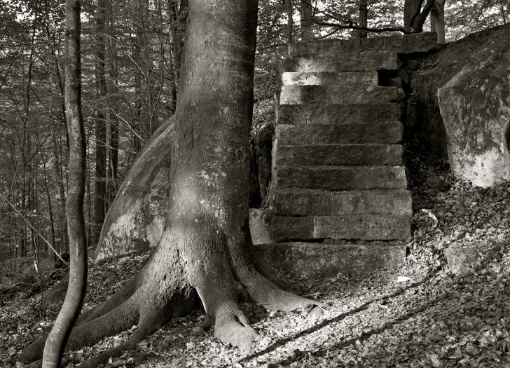 Extrañas escaleras en el bosque
