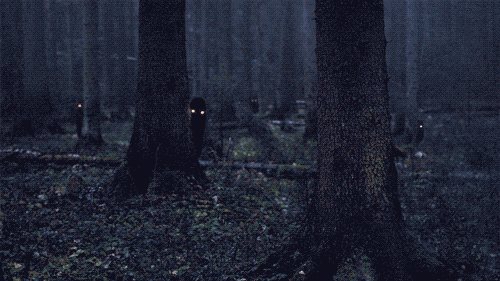 Fantasmas en el bosque