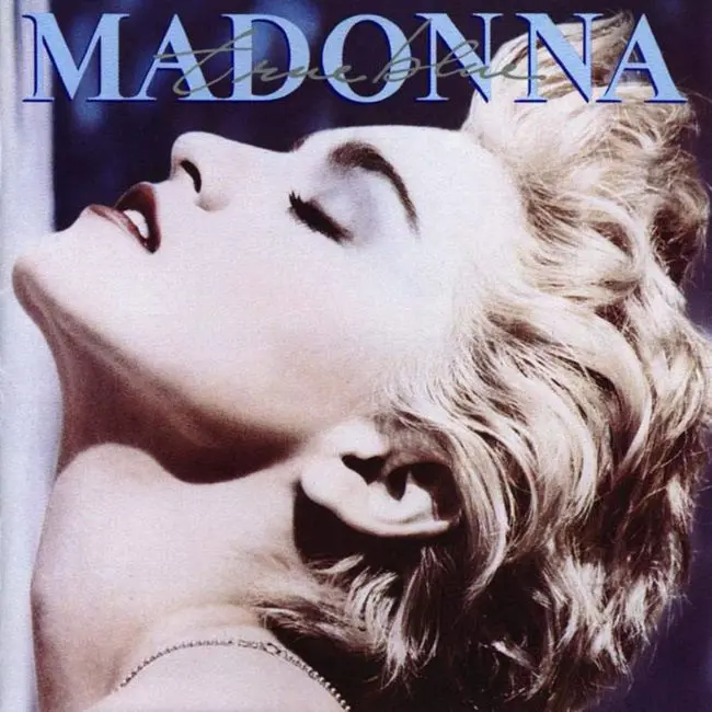 Max-el-perro-imita-a-Madonna-15.jpg.webp