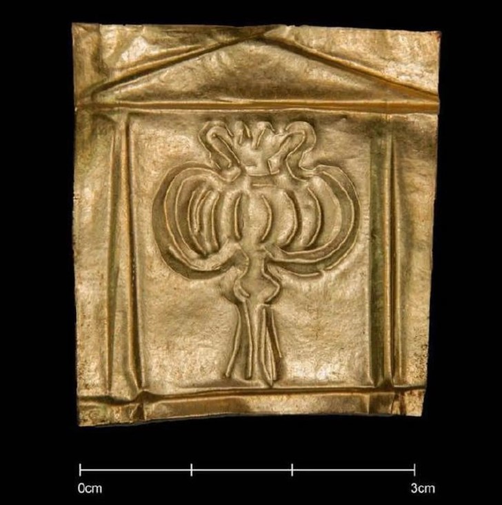 Palmera ilustracion sarcofago alejandria