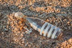 Botella con mensaje sobre la arena