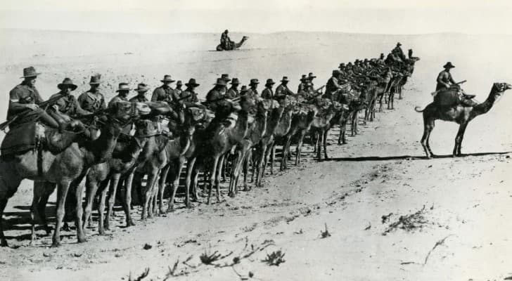 imperial camel corps