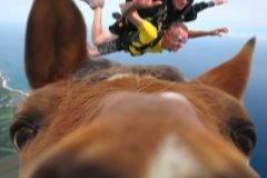 selfie caballo en el aire