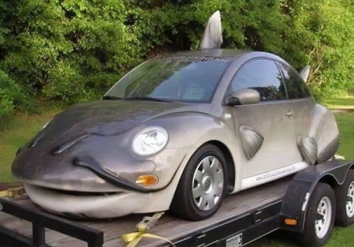 auto beetle bagre