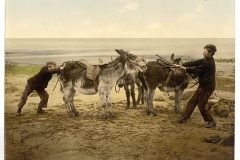 niños empujando burros