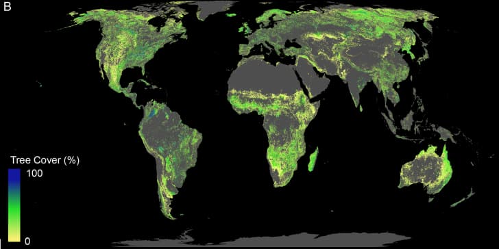 mapa reforestacion