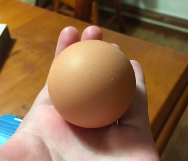 huevo completamente redondo