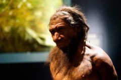 representacion realista de un neandertal