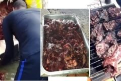 carne de ballena en brasil