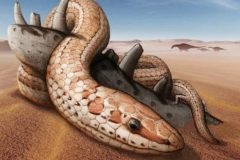 Najash snake ilustracion