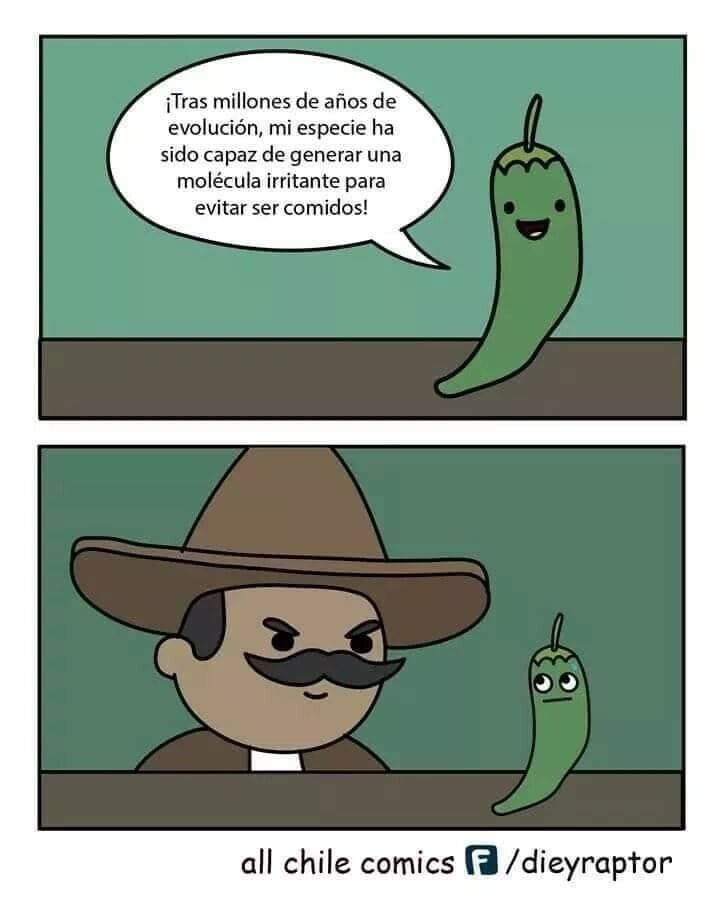 chile y el mexicano meme