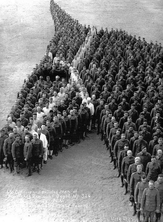 tributo a los caballos burros y mulas muertos en la primera guerra mundial