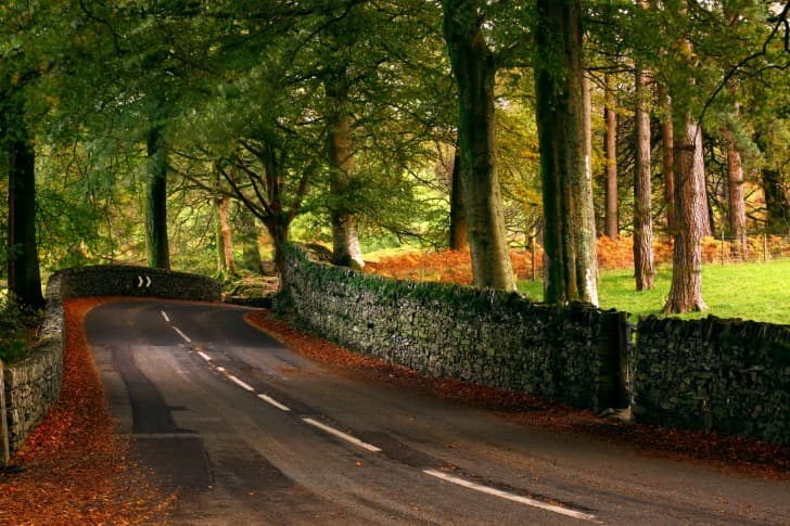 carretera en otoño