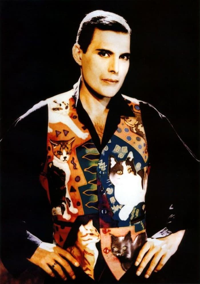 Freddie Mercury camisa con sus gatos